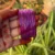 L Violet